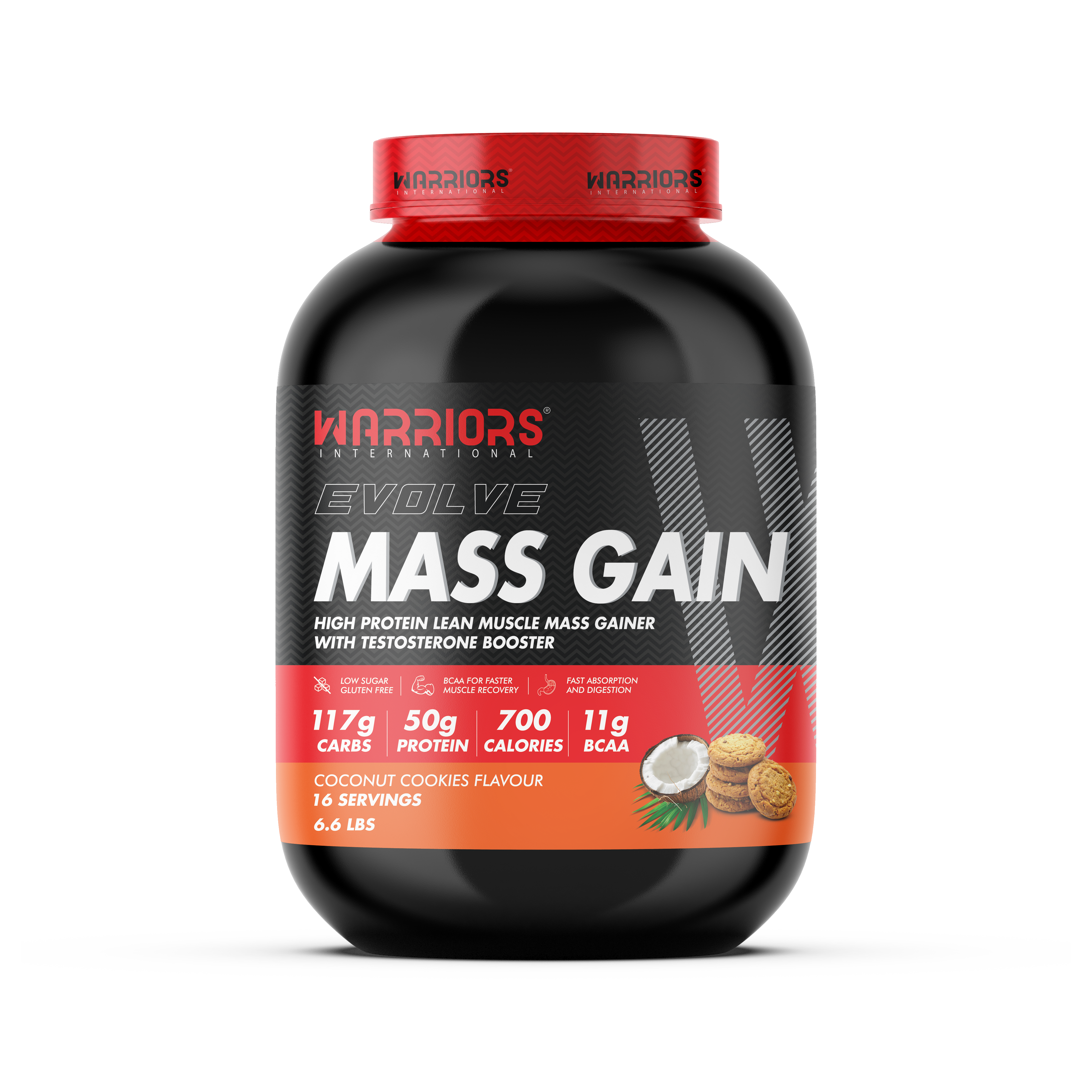 MASS GAIN-2